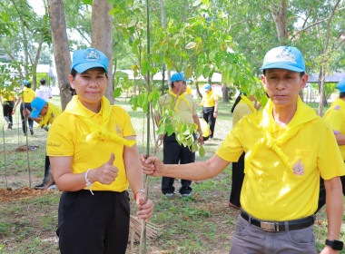 กิจกรรมจิตอาสาพัฒนาศูนย์ราชการ ... พารามิเตอร์รูปภาพ 5